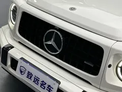 2022 Mercedes-Benz G-Class G 350, белый — фото 33