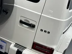 2022 Mercedes-Benz G-Class G 350, белый — фото 36