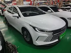 2024 BYD Destroyer 05 DM-i PHEV 55km Luxury, белый — фото 4