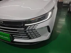 2024 BYD Destroyer 05 DM-i PHEV 55km Luxury, белый — фото 24