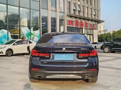 2021 BMW 5 Series 530Li xDrive M Sport Package, чёрный — фото 5