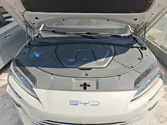 2024 BYD Song PLUS Honor DM-i PHEV 150km Flagship Plus — фото 16