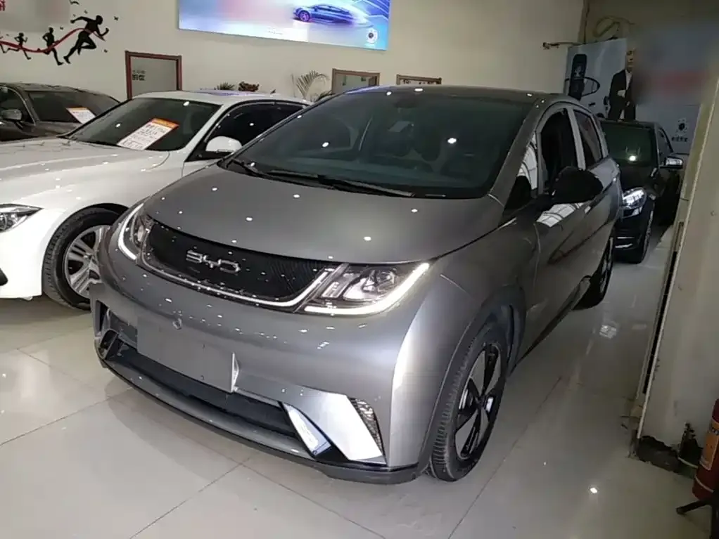 2023 BYD Dolphin 420km Fashion