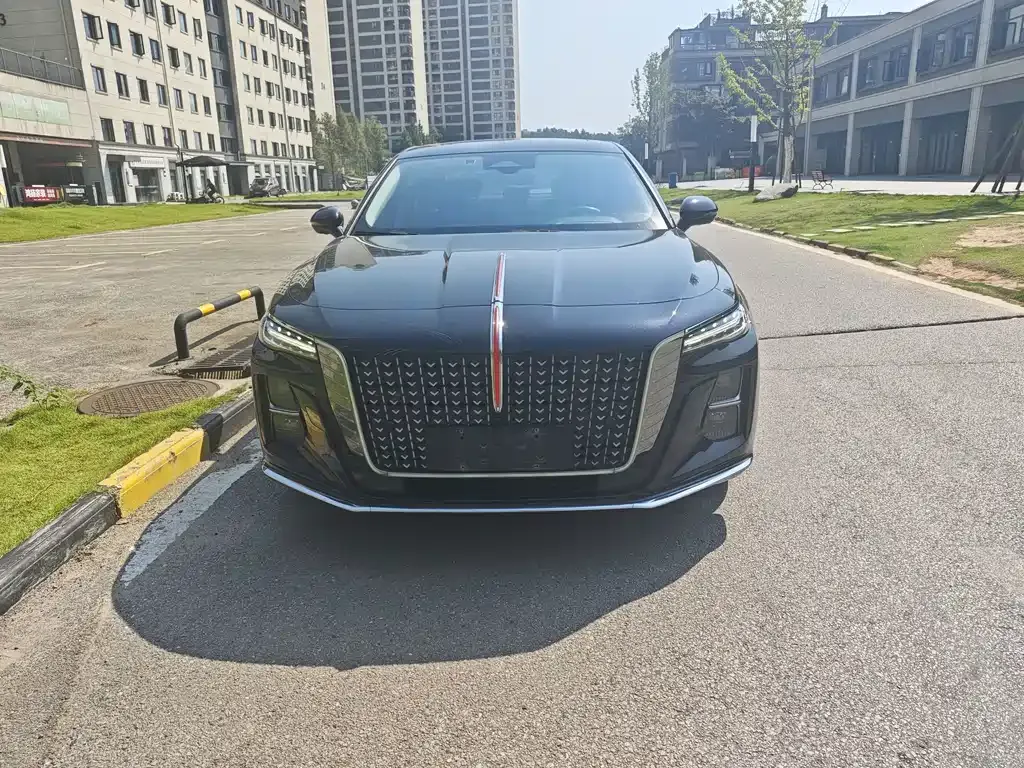 2023 Hongqi H5 2.0T AT
