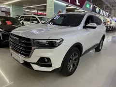 2021 Haval H6 1.5GDIT AT Guochao Champion, белый — фото 1