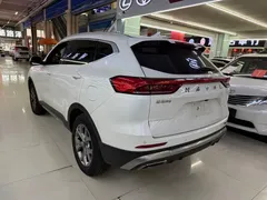 2021 Haval H6 1.5GDIT AT Guochao Champion, белый — фото 4