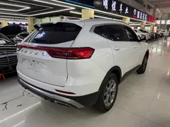 2021 Haval H6 1.5GDIT AT Guochao Champion, белый — фото 6