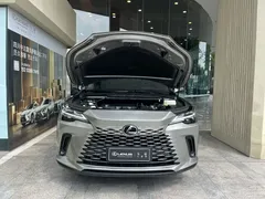 2023 Lexus RX 350h 2WD — фото 6