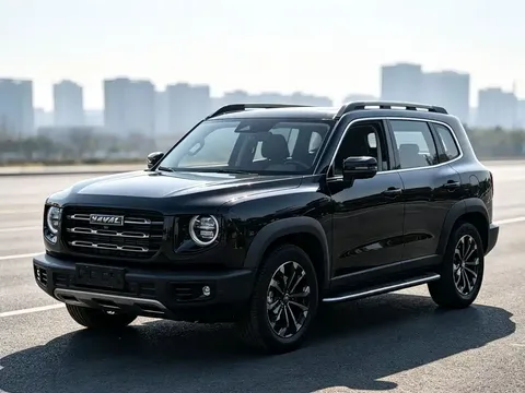 2021 Haval Dargo 1.5T DCT 2WD Wangcai