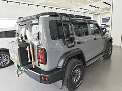 2021 Tank 300 Off-road 2.0T Conqueror — фото 7