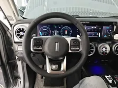 2021 Tank 300 Off-road 2.0T Conqueror — фото 11