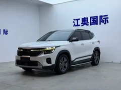 2023 Kia Seltos 1.5L CVT Luxury, белый — фото 1