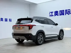2023 Kia Seltos 1.5L CVT Luxury, белый — фото 19