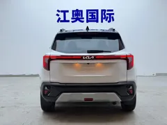 2023 Kia Seltos 1.5L CVT Luxury, белый — фото 20