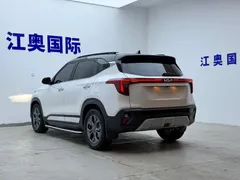 2023 Kia Seltos 1.5L CVT Luxury, белый — фото 22