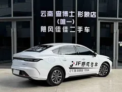 2024 BYD Destroyer 05 DM-i PHEV 55km Luxury, белый — фото 3