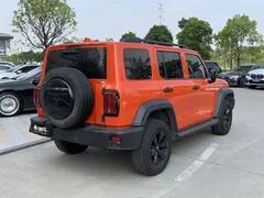 2021 Tank 300 Off-road 2.0T Conqueror — фото 8