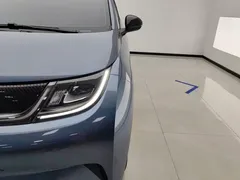 2025 BYD Dolphin 420km Freedom — фото 5