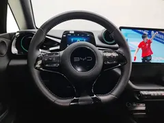 2025 BYD Dolphin 420km Freedom — фото 15