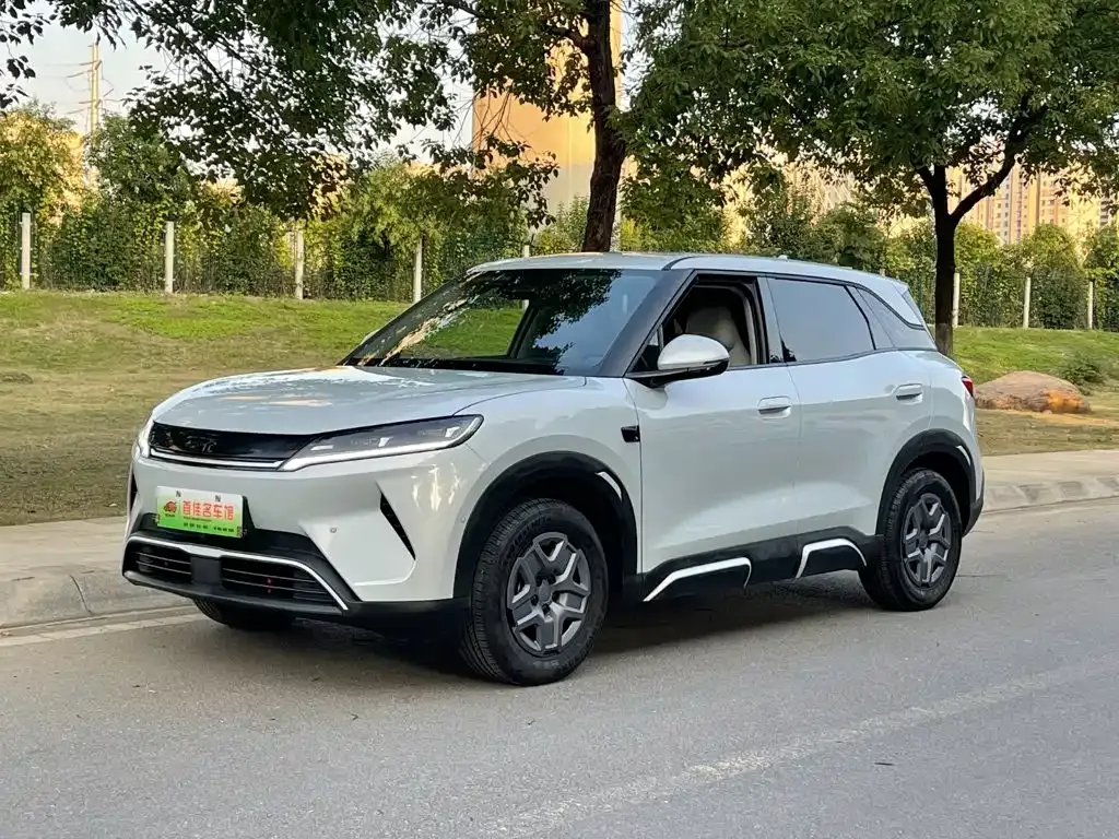 2025 BYD Yuan UP Smart Driving 401km Vitality