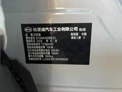 2025 BYD Yuan UP Smart Driving 401km Vitality — фото 19