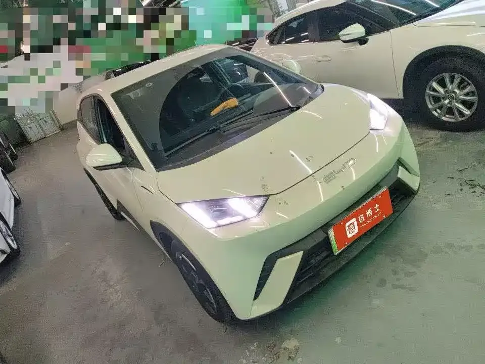 2024 BYD Seagull EV Glory 405km Flying