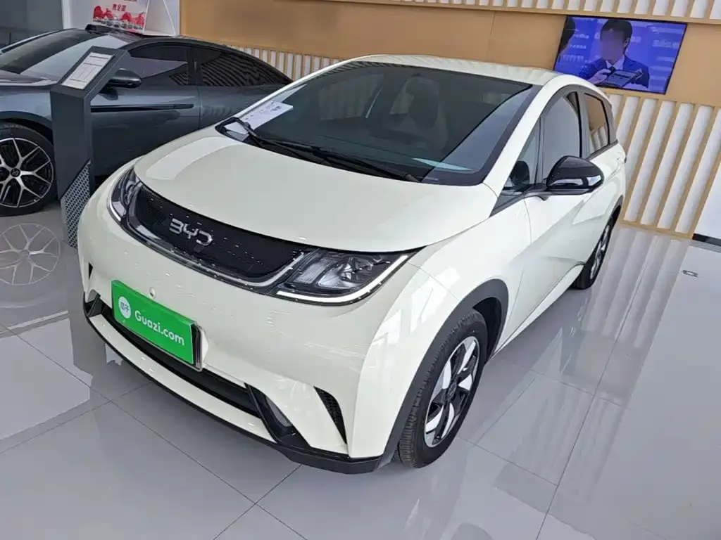 2025 BYD Dolphin 420km Freedom