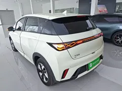 2025 BYD Dolphin 420km Freedom — фото 5