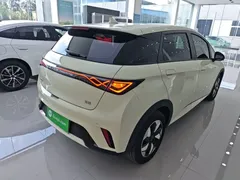 2025 BYD Dolphin 420km Freedom — фото 7