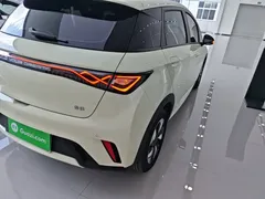 2025 BYD Dolphin 420km Freedom — фото 8