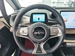 2025 BYD Dolphin 420km Freedom — фото 11