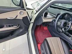 2025 BYD Dolphin 420km Freedom — фото 16