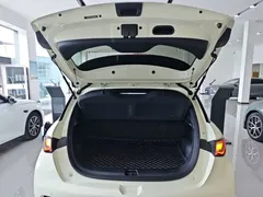 2025 BYD Dolphin 420km Freedom — фото 19