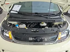 2025 BYD Dolphin 420km Freedom — фото 20
