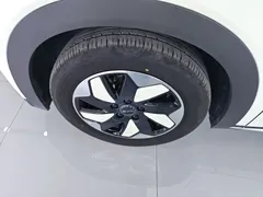 2025 BYD Dolphin 420km Freedom — фото 23
