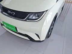 2025 BYD Dolphin 420km Freedom — фото 24