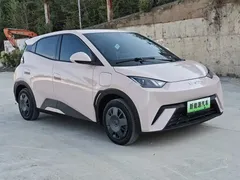 2025 BYD Seagull 305km Vitality — фото 3