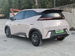 2025 BYD Seagull 305km Vitality — фото 9