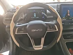 2024 BYD Destroyer 05 DM-i PHEV 55km Luxury — фото 11