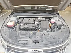 2024 BYD Destroyer 05 DM-i PHEV 55km Luxury — фото 20