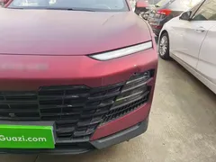 2022 Jetour Dashing 1.6T DCT King PRO — фото 24