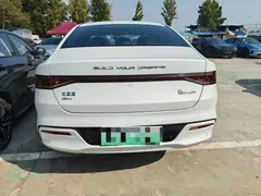 2023 BYD Qin PLUS Champion DM-i PHEV 55km Exceed, белый — фото 8