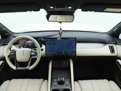 2025 BYD Song L EV 550km Excellence — фото 5