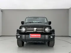 2023 Tank 300 City Edition 2.0T Essential, чёрный — фото 18