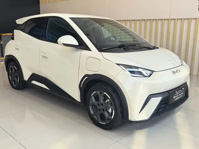 2025 BYD Seagull EV 405km Flying