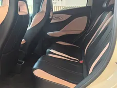 2025 BYD Seagull EV 405km Flying, белый — фото 8
