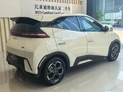 2025 BYD Seagull EV 405km Flying, белый — фото 12