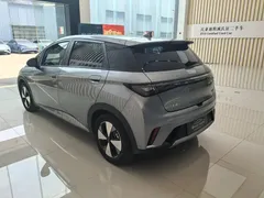 2023 BYD Dolphin 420km Fashion — фото 4