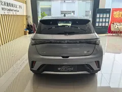 2023 BYD Dolphin 420km Fashion — фото 5