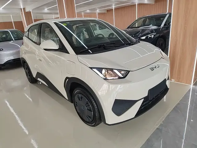 2025 BYD Seagull EV 305km